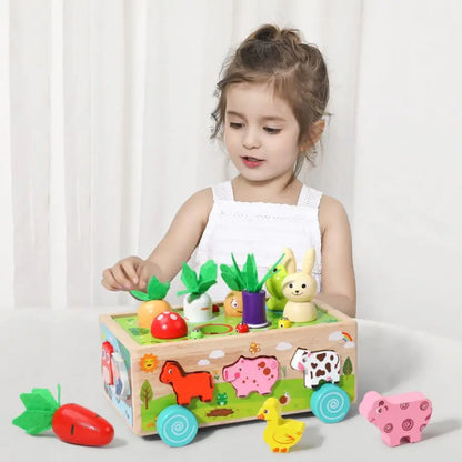 Wooden Animal Assortment Children Toys