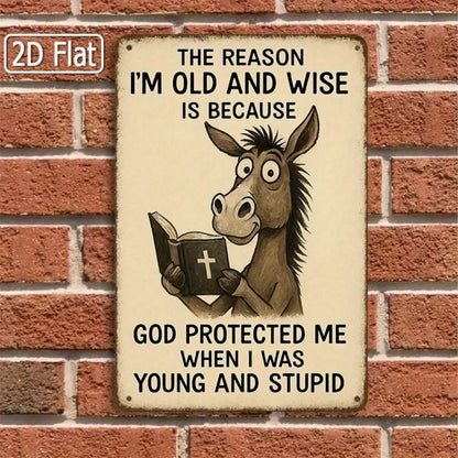 Donkey Tin Sign Funny Old And Wise Quote