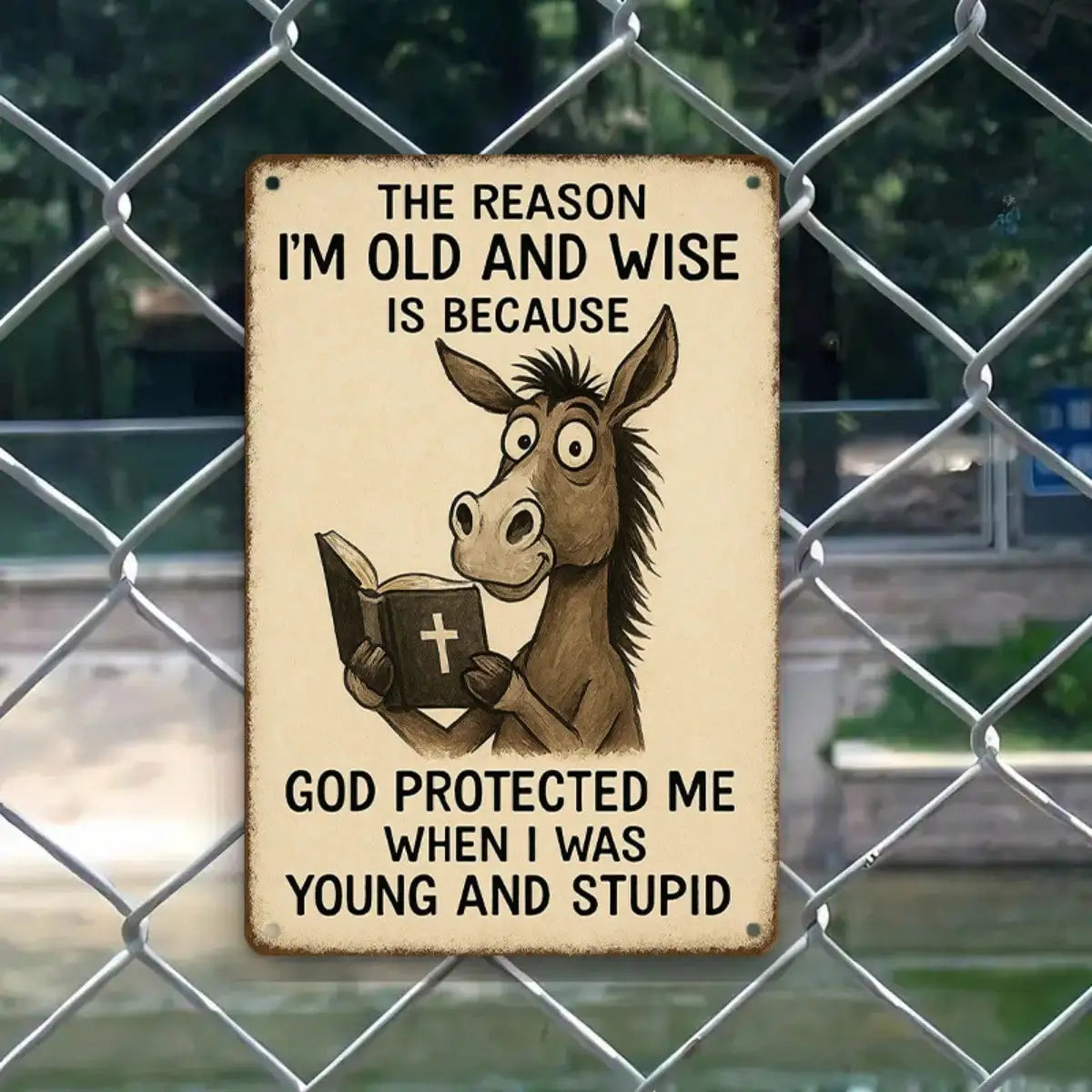 Donkey Tin Sign Funny Old And Wise Quote