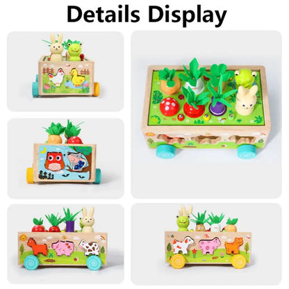 Wooden Animal Assortment Children Toys
