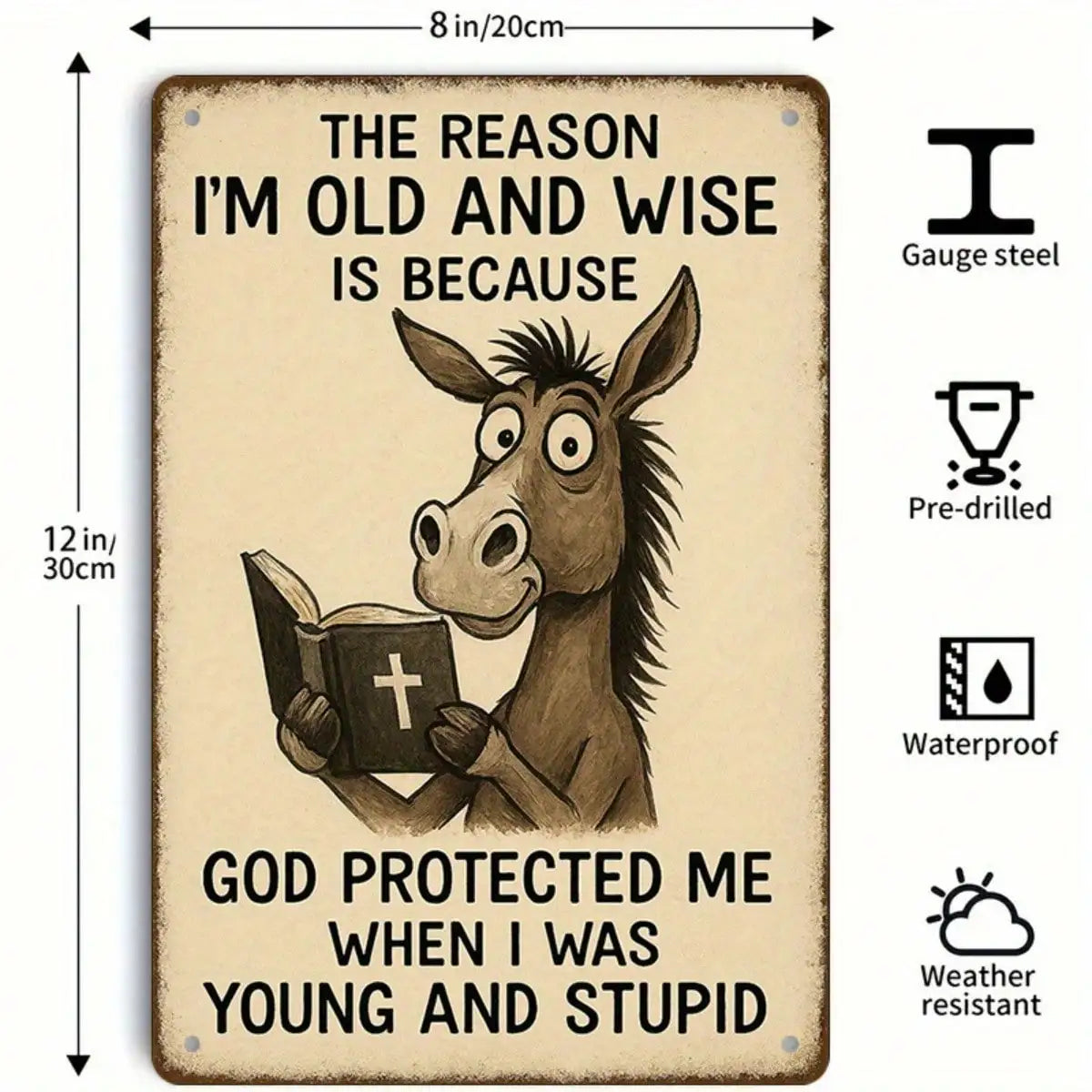Donkey Tin Sign Funny Old And Wise Quote
