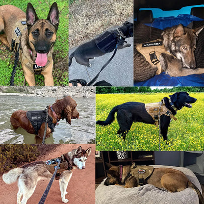 Tactical Dog Harness Leash Set  No Pull